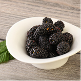 율려조양단 복분자