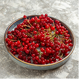 율려조양단 오미자