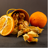 율려조양단 진피