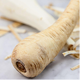 율려조양단 생지황