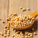 율려조양단 병아리콩